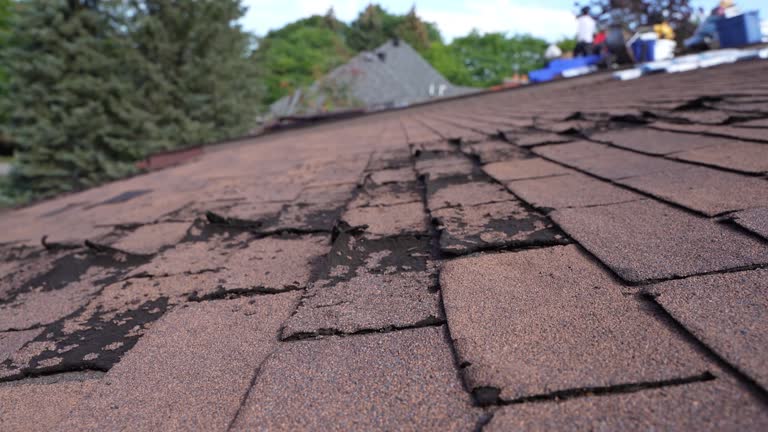 Best Emergency Roof Repair Services  in Mosheim, TN