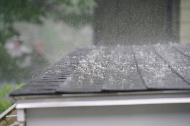 Best Roof Installation  in Mosheim, TN